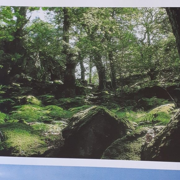 The Encyclopedia of Magic & Witchcraft Book - Picture 6 of 8